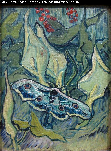 Vincent Van Gogh Butterflies
